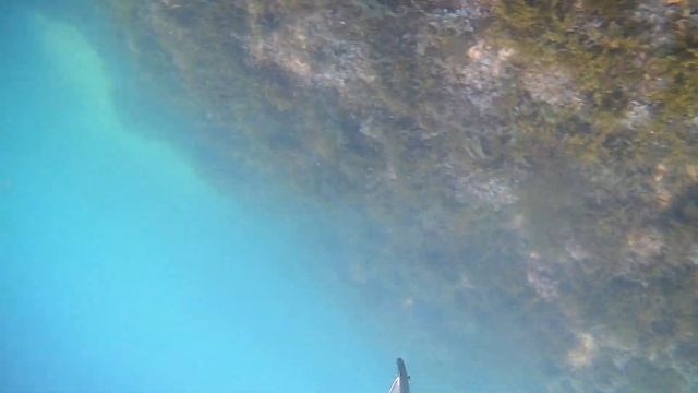 Подводная охота в Гоа 2023, пляж Anjuna. Первый день съемок