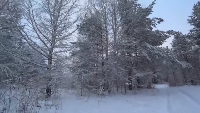 Я тебе желаю жизни   на стихи Марины Паскуль.муз Ю.Новгородский смотреть онлайн