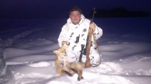 Охота на лису с подхода
