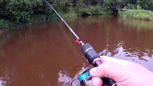 Приманки для малой реки (Узола)