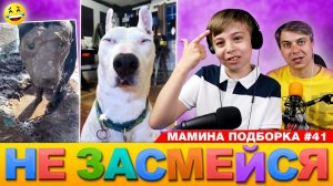 СМЕШНОЕ ВИДЕО для ХОРОШЕГО НАСТРОЕНИЯ! Мамина подборка #41