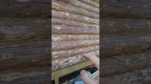 Надо ли утеплять сруб... Обязательно и любой. Вопрос только в том: как. Расшир версия