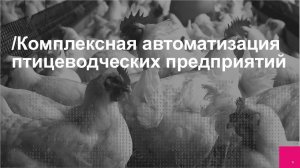 Запись вебинара "Комплексная автоматизация птицеводческих предприятий"