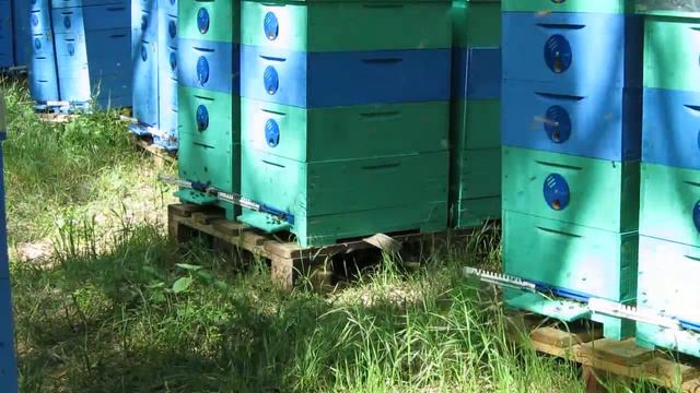 На акация 2018рік смотреть онлайн