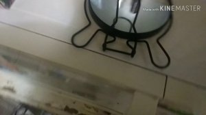 Генеральная уборка на кухне и расхламление косметики/ Мотивация/ Влог