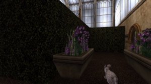 Гарри Поттер и Узник Азкабана прохождение в 2024 ч. 6