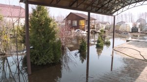 «Не большая вода»: владельцы дачного участка в Тюшеве подтопили соседа