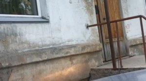 Воет гур passat