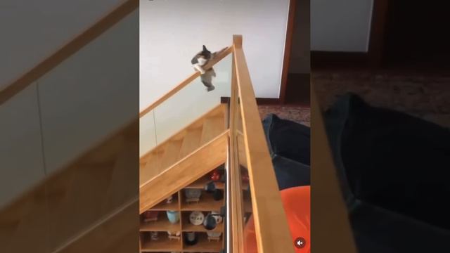 🤭 И почему перила такие скользкие...