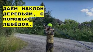 Даём наклон деревьям, с помощью лебёдок.