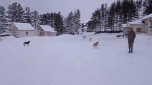 январь 2024, сказочный Байкал