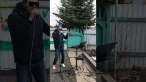 Сумасшедшая песня Квест Пистолс.