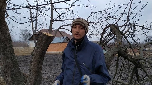 Обрезка старой яблони весной (зимой) ?? смотреть онлайн