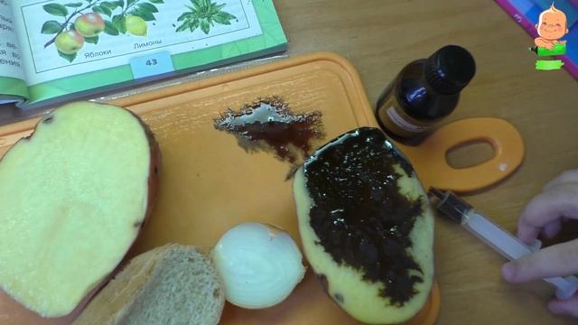 Опыт= йод + крахмал Flomaster!
