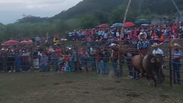 Jaripeo Ranchero 🌴🌴Palma Real Benito Juárez Ver 🇲🇽🎵🎭🎺🎷🥁🎶🌴 смотреть онлайн