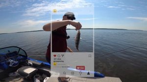 Удачные бугры на Иваньковском водохранилище, июнь 2020