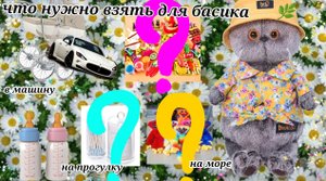 ЧТО ВЗЯТЬ БАСИКАМ В ДОРОГУ И НА ПРОГУЛКУ?!