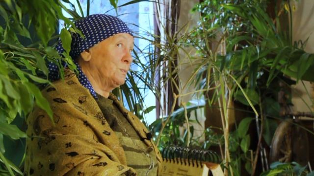 Полевые мыши. Цикл "Вредители на пасеке". смотреть онлайн