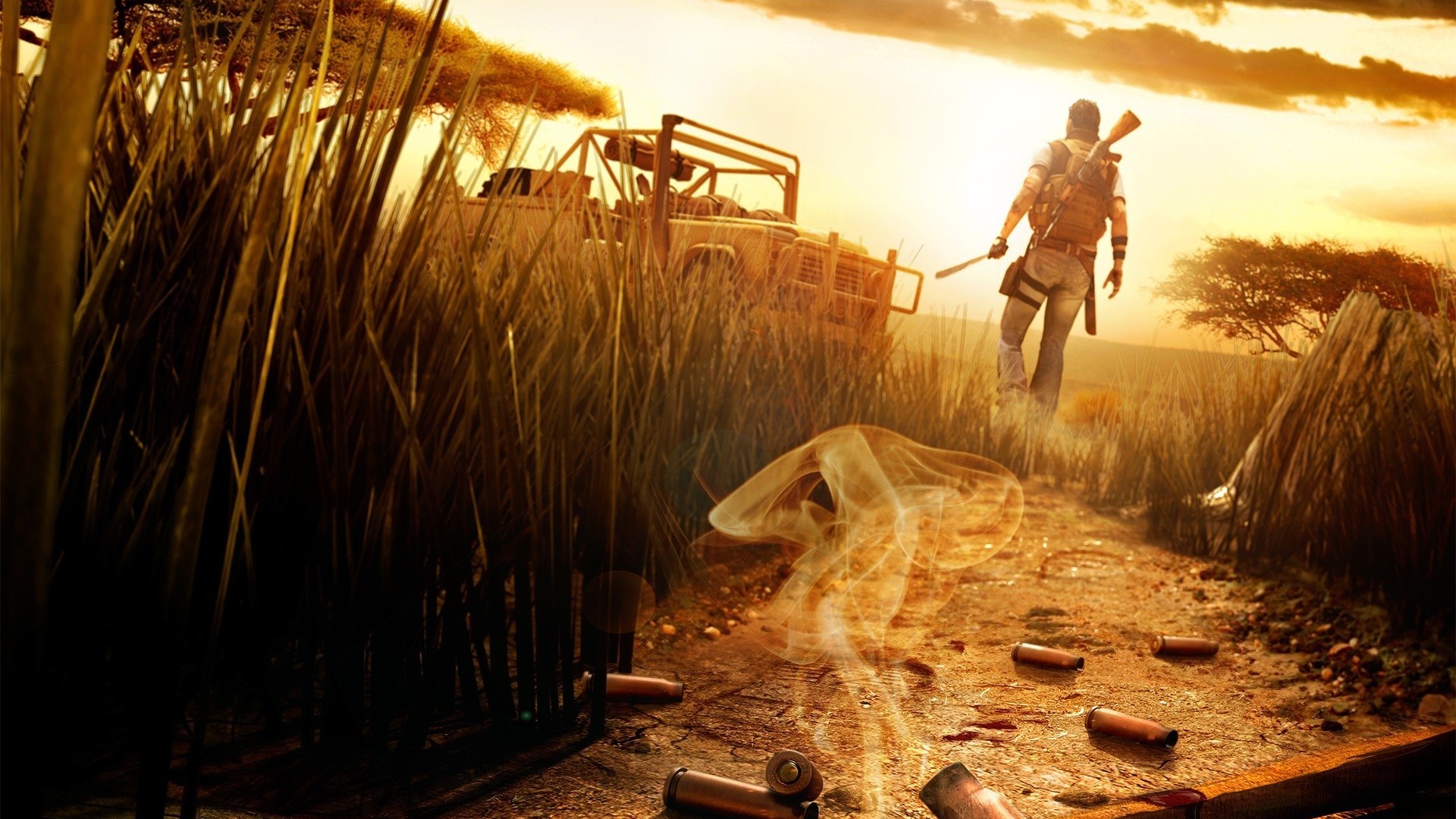 Far cry 2 обложка стим фото 81