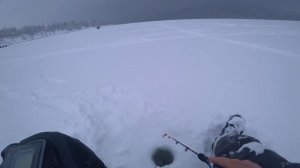 ЭТИ балансиры ловят!!!  Ловля окуня и судака на балансир. Рыбалка по последнему льду