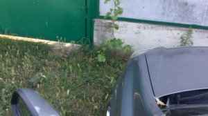 Треск коробки Opel Astra H GTC