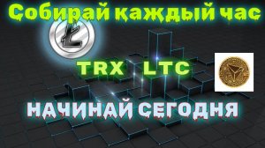 Liteking и Tronking - Одни из лучших крипто валютных кранов, где можно собирать крипту каждый час.