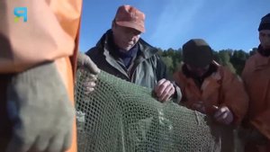 Крайний Север  Россия  Коренные народ . нганасаны