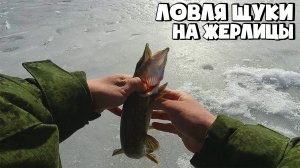 ЗАКРЫТИЕ СЕЗОНА ТВЕРДОЙ ВОДЫ! ЛОВЛЯ ЩУКИ НА ЖЕРЛИЦЫ
