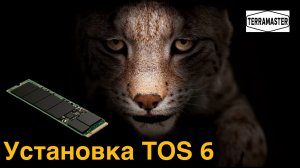 Установка TOS 6 от TerraMaster на M2 NVME SSD диски