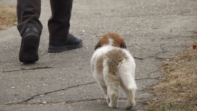 Заметки ДворникаMOVIE.mp4№9 смотреть онлайн