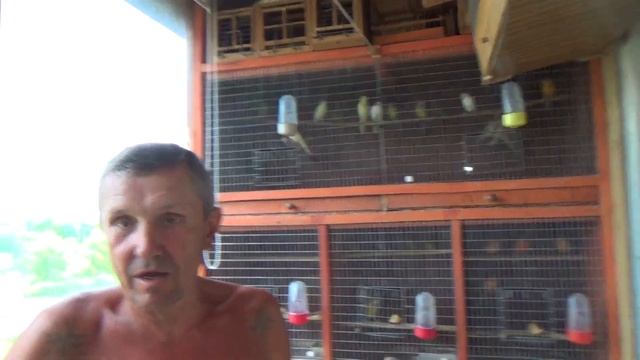 В гостях у Иваныча. Гибриды. смотреть онлайн