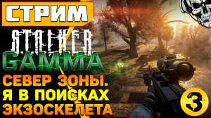 Дробовик для монстров, автомат для людей ☢️ S.T.A.L.K.E.R. Anomaly GAMMA (часть 3)