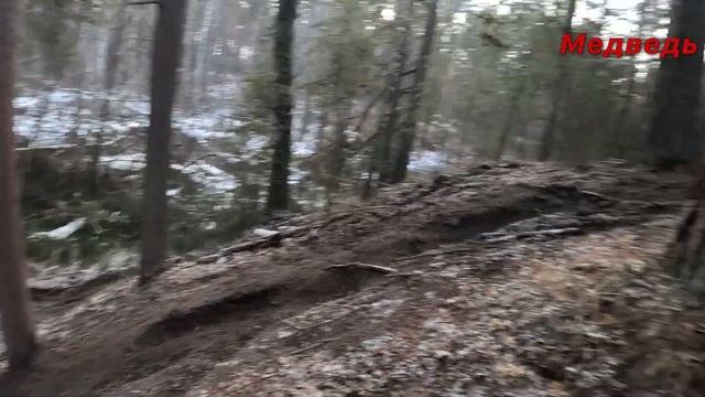 ЧУТЬ НЕ РАЗБИЛСЯ ОБ ДЕРЕВО. ТРЕНЕРОВКА И ТЕСТ КАМЕРЫ GOPRO 11 И DJI ACTION смотреть онлайн