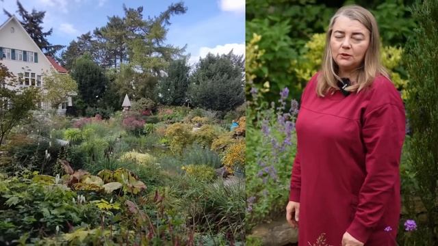 Приглашаю вас на прогулку по саду. Пергола, хвойная композиция, вечнозелёная аллея. Новый конкурс!