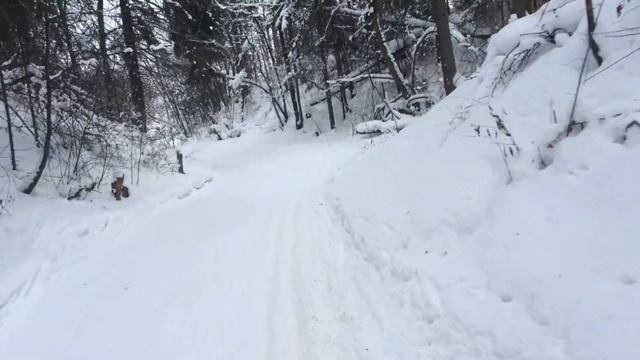 Лыжня России и дядя Саша) смотреть онлайн