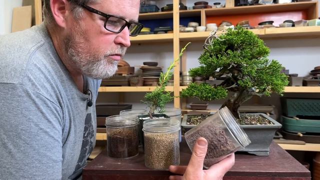 Bonsaify | Eric Answers a Common Bonsai Question: What SOIL to Use and Why! смотреть онлайн