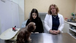 Как удалить молочный зуб у собаки. Смена зубов.