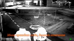 Мужчины писают на клумбы