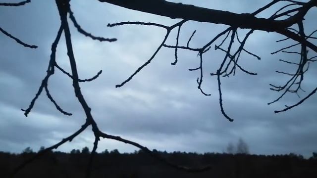 №51 Две минуты ноябрьского утреннего неба. #молодой_блогер