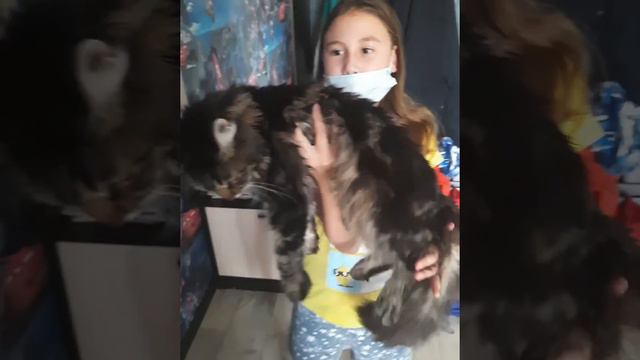 мейн кун 6 месяцев