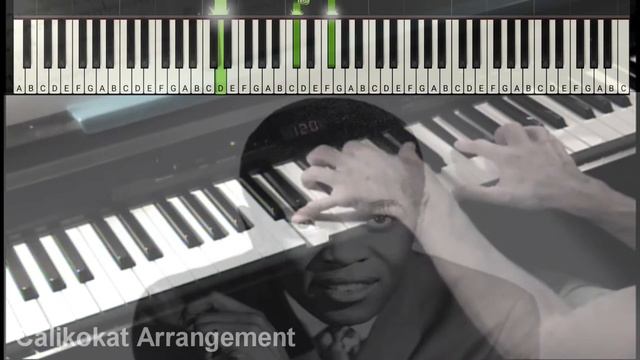 You'll Never Find Another Love Like Mine -Lou Rawls - Piano смотреть онлайн