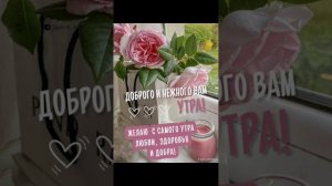 Пусть сегодня будет просто чудесный день💖💖 Доброе утро😊💝