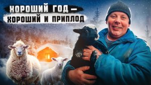 Обзор хозяйства в феврале: окоты у коз и баранов. "Мое Подворье"