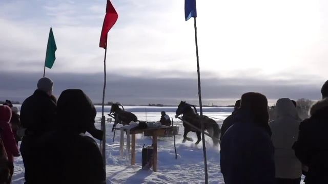 Конно спортивные соревнования  Ижма
