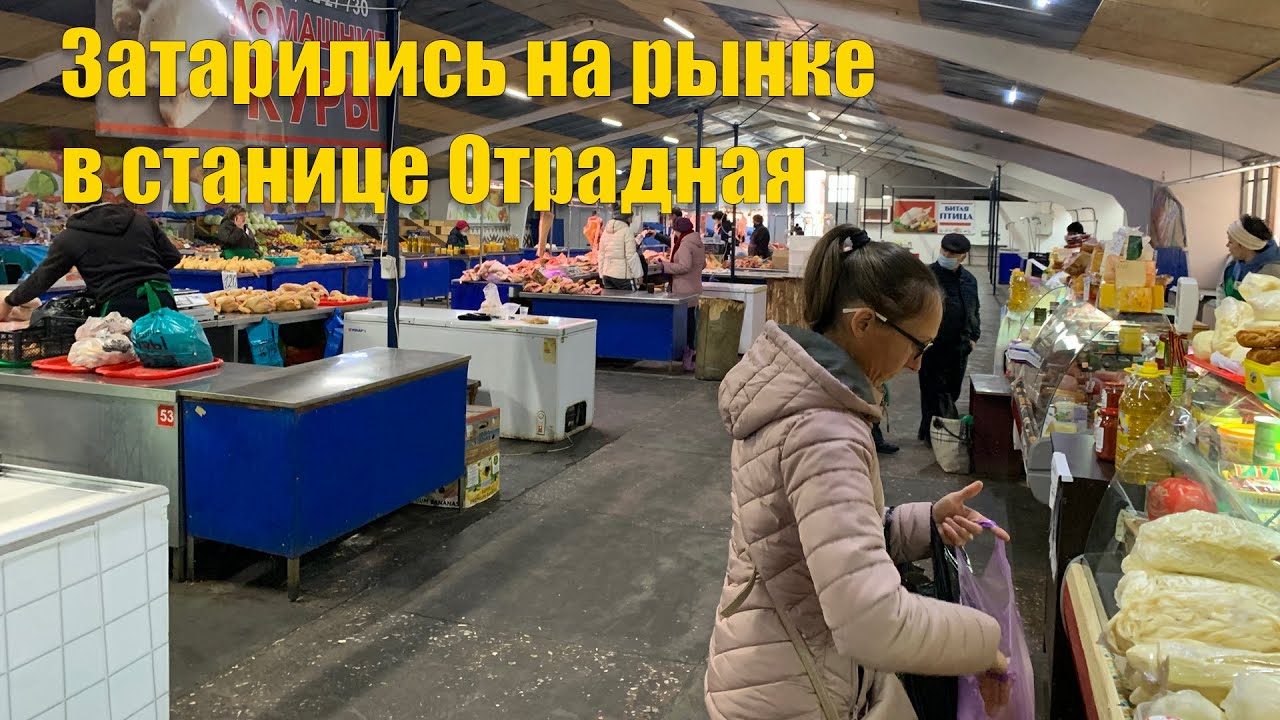 #55 Жизнь на хуторе. Закупились на рынке в станице Отрадной. Пробуем черенковать виноград.
