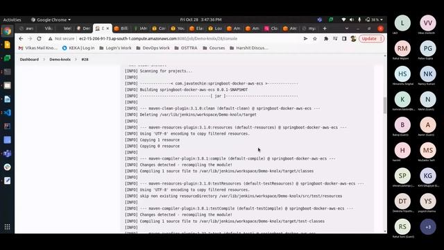 Deploy ECR Image on AWS ECS Fargate using Terraform смотреть онлайн