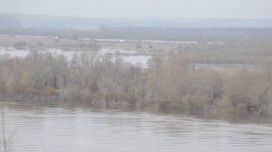 Павлово,Нижегордская область