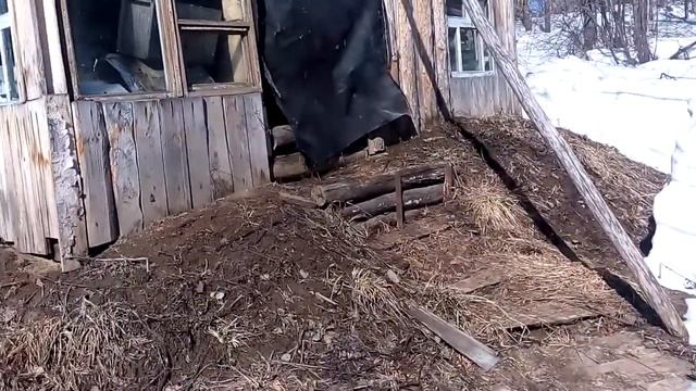 В омшаннике пчелы ждут, барсуки уже проснулись. смотреть онлайн