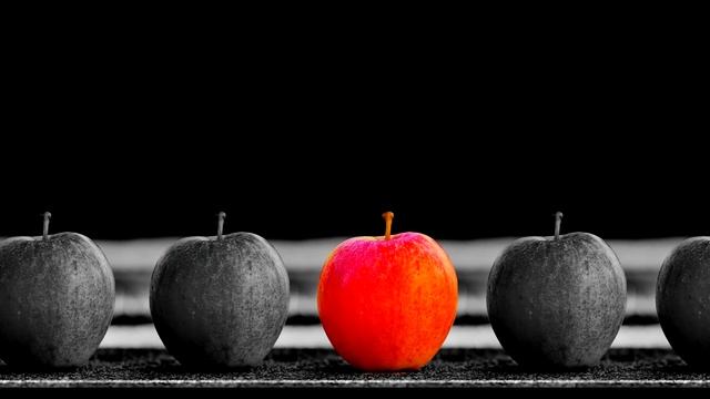 5 ответов на вопрос - Зачем человек рождается ? – Зачем жить, в чем смысл жизни и как найти себя
