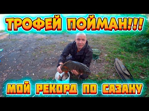 Я поймал трофей на донки! Отличное закрытие летнего сезона / Рыбалка на донки  в последний день лета